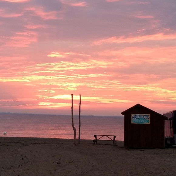 Meet your Posher, Hunny - Picture 7 of 11